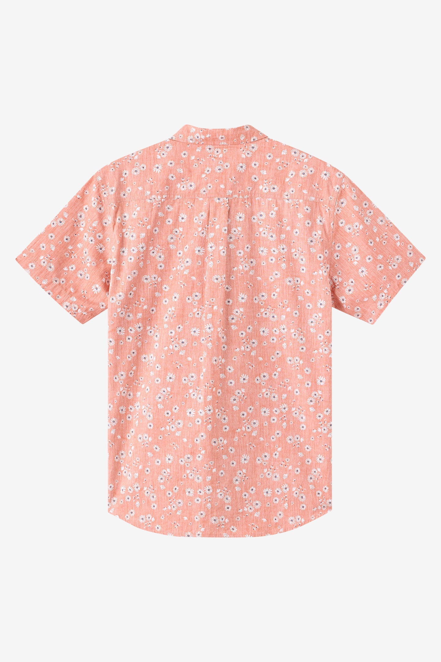 Terrace Standard Fit Shirt