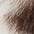 Faux Fur Animal Print Short Jacket