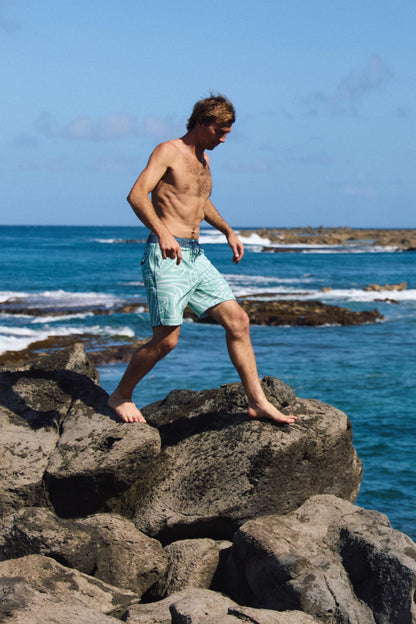 Hyperfreak Mysto Scallop 19" Boardshorts