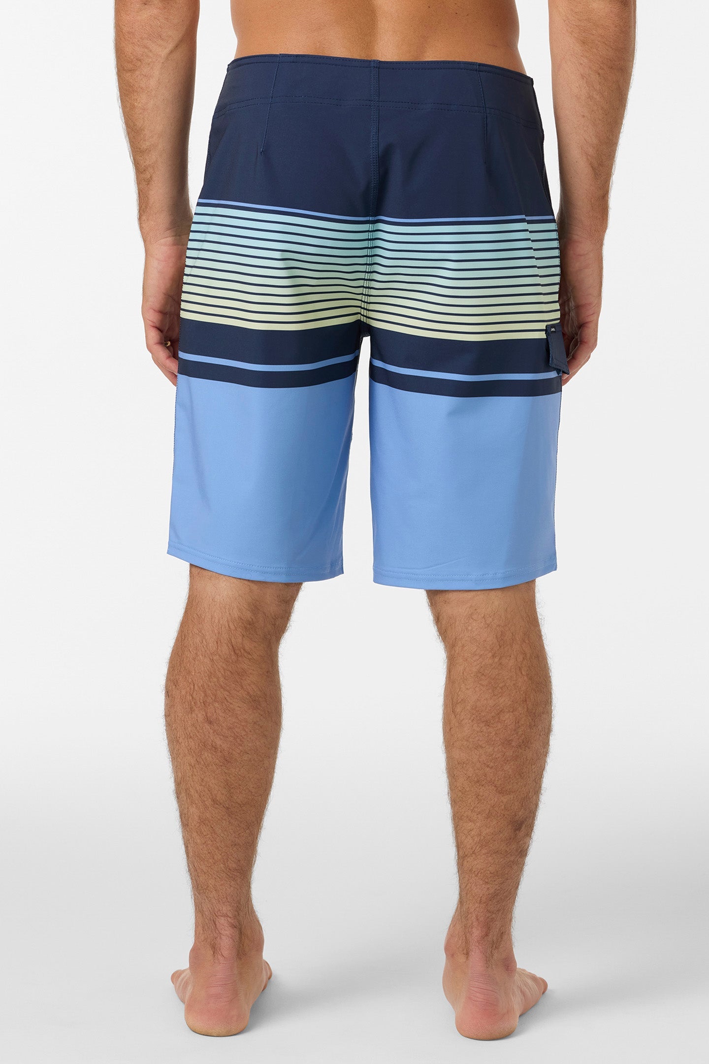 Lennox Stripe 21" Boardshorts