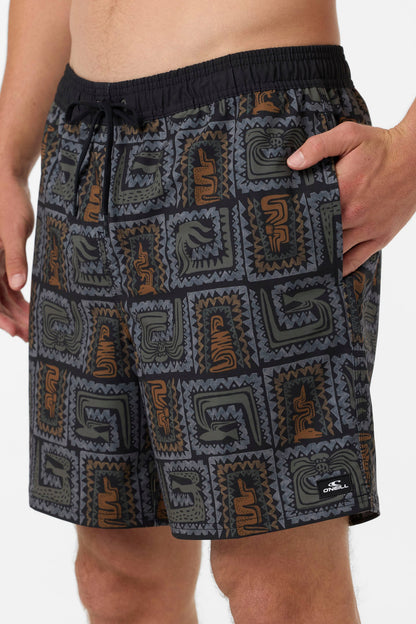 Hermosa Elastic Waist Lined 17" Swim Trunks