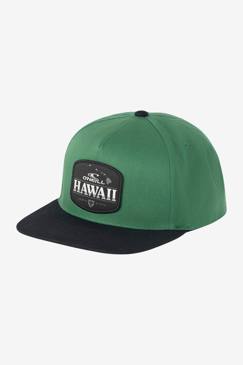 Hawaii Snapback Hat