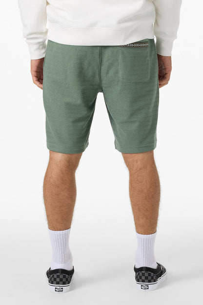 Bavaro Solid 19" Shorts